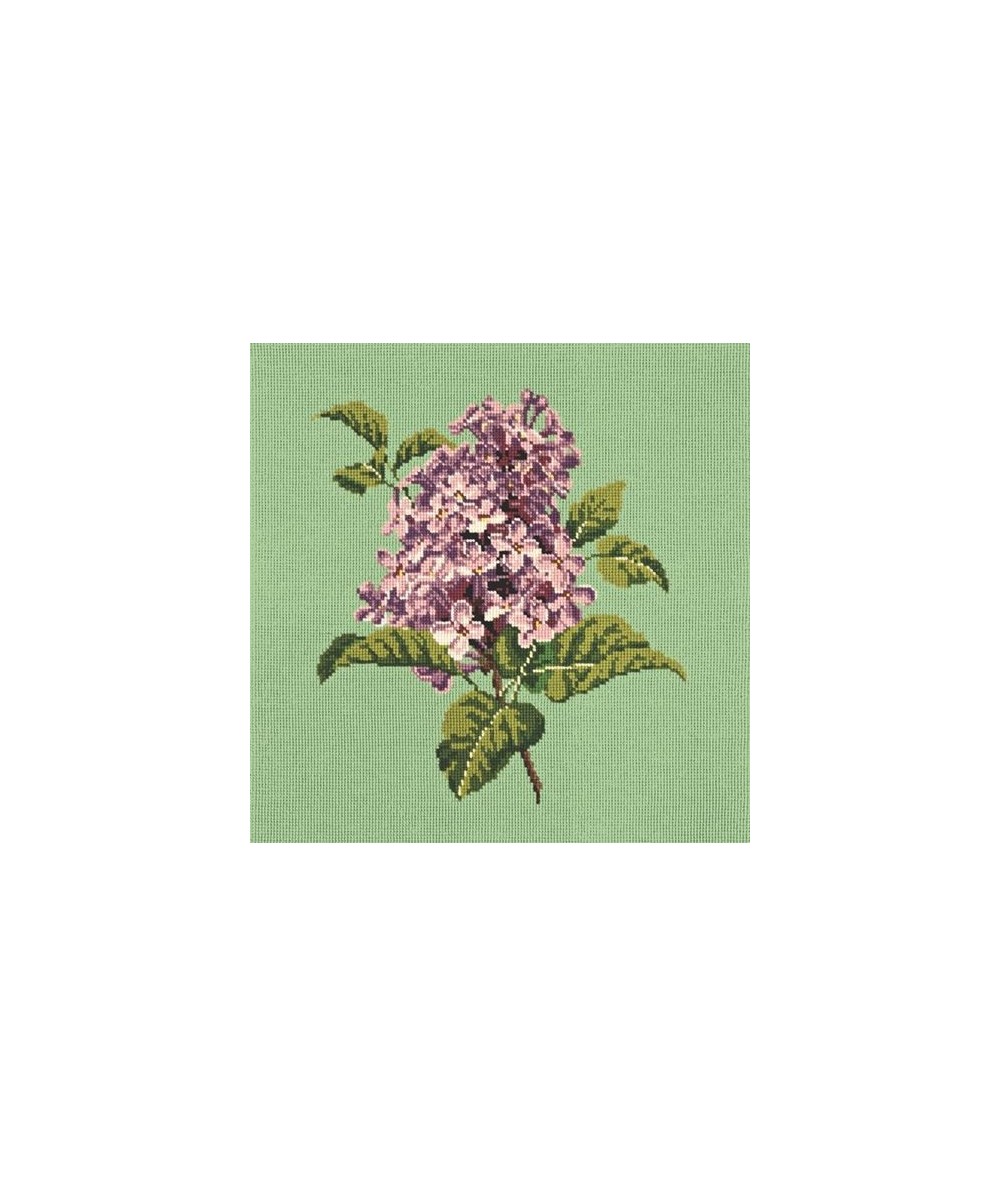 Elizabeth Bradley, Blooms, LILIAC - 16x16 pollici Elizabeth Bradley - 7