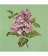 Elizabeth Bradley, Blooms, LILIAC - 16x16 pollici Elizabeth Bradley - 7