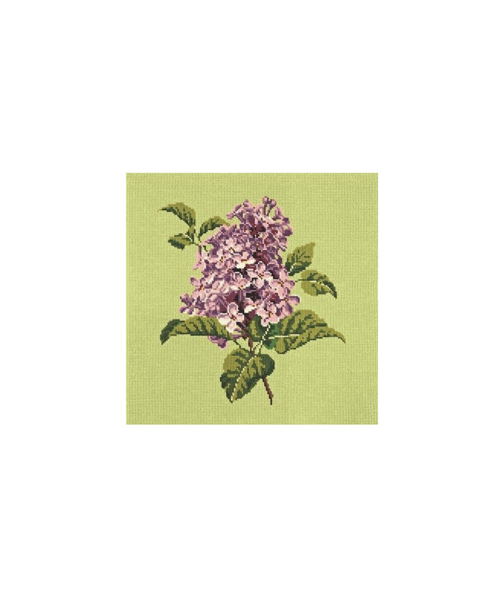 Elizabeth Bradley, Blooms, LILIAC - 16x16 pollici Elizabeth Bradley - 8