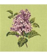 Elizabeth Bradley, Blooms, LILIAC - 16x16 pollici Elizabeth Bradley - 8