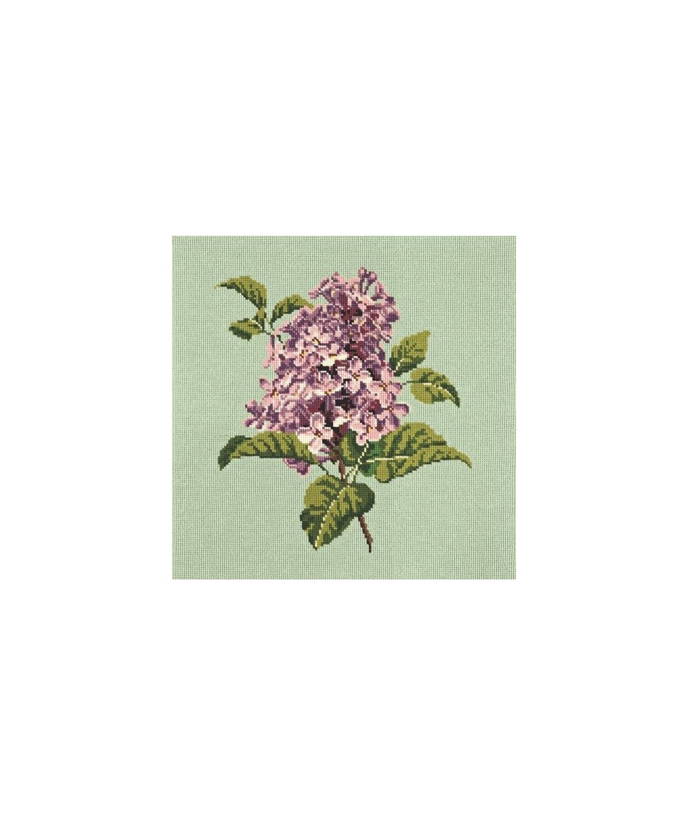 Elizabeth Bradley, Blooms, LILIAC - 16x16 pollici Elizabeth Bradley - 9
