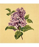 Elizabeth Bradley, Blooms, LILIAC - 16x16 pollici Elizabeth Bradley - 10