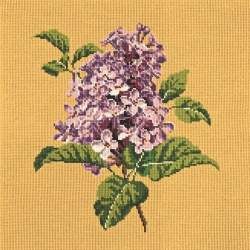 Elizabeth Bradley, Blooms, LILIAC - 16x16 pollici Elizabeth Bradley - 11