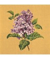 Elizabeth Bradley, Blooms, LILIAC - 16x16 pollici Elizabeth Bradley - 11