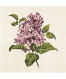 Elizabeth Bradley, Blooms, LILIAC - 16x16 pollici Elizabeth Bradley - 12
