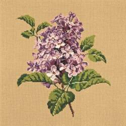 Elizabeth Bradley, Blooms, LILIAC - 16x16 pollici Elizabeth Bradley - 13