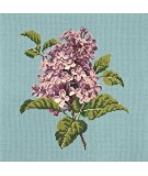 Elizabeth Bradley, Blooms, LILIAC - 16x16 pollici Elizabeth Bradley - 15