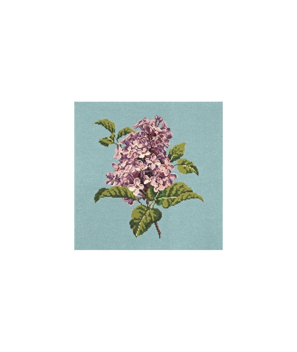 Elizabeth Bradley, Blooms, LILIAC - 16x16 pollici Elizabeth Bradley - 15
