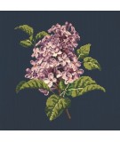 Elizabeth Bradley, Blooms, LILIAC - 16x16 pollici Elizabeth Bradley - 16