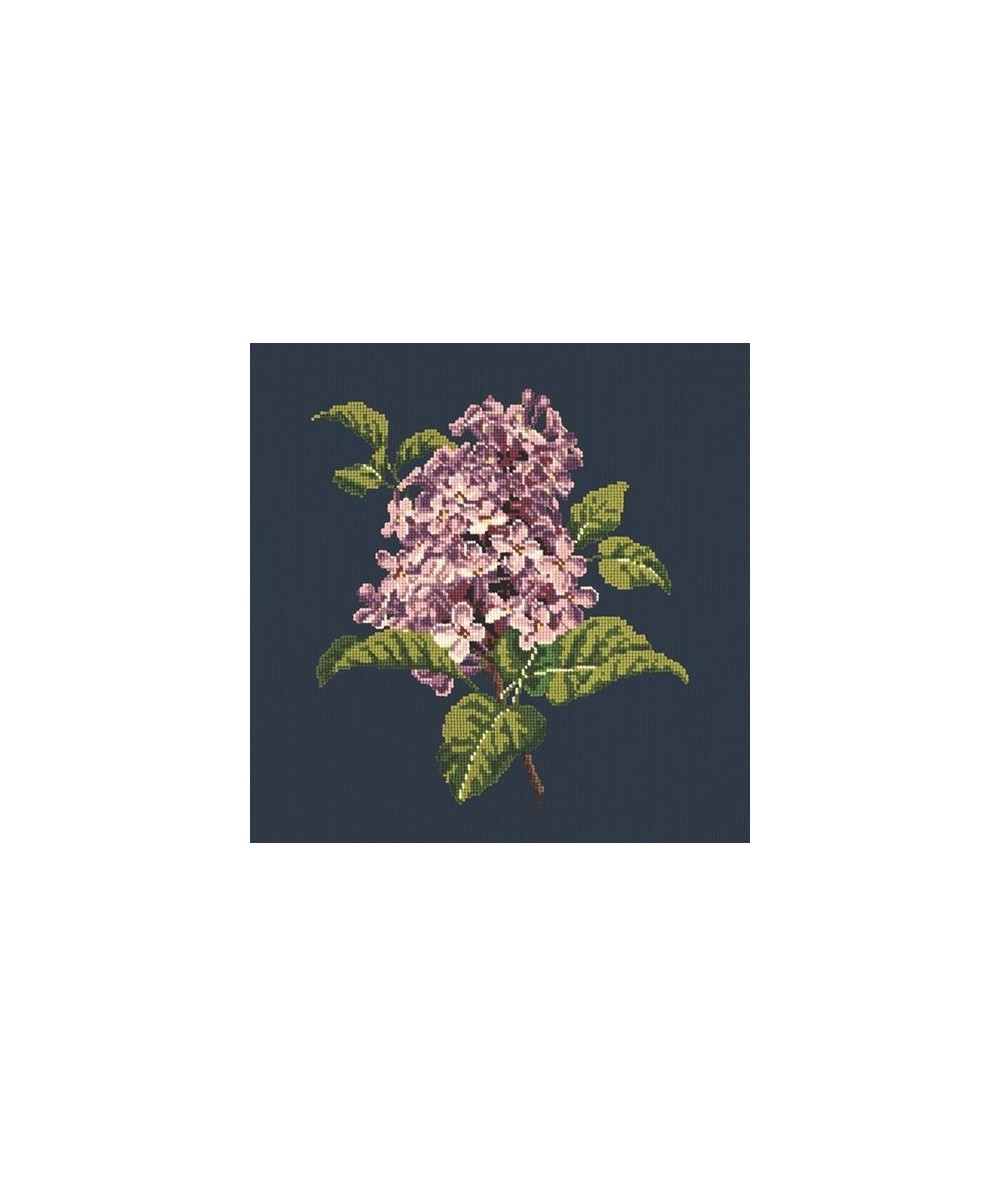 Elizabeth Bradley, Blooms, LILIAC - 16x16 pollici Elizabeth Bradley - 16