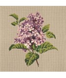 Elizabeth Bradley, Blooms, LILIAC - 16x16 pollici Elizabeth Bradley - 17