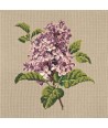 Elizabeth Bradley, Blooms, LILIAC - 16x16 pollici Elizabeth Bradley - 17