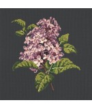 Elizabeth Bradley, Blooms, LILIAC - 16x16 pollici Elizabeth Bradley - 18