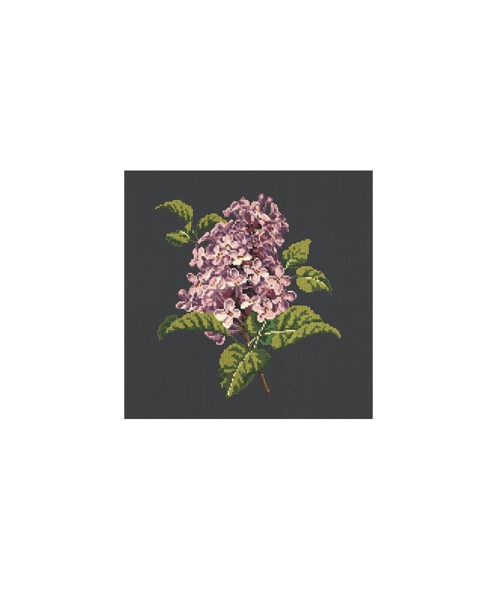 Elizabeth Bradley, Blooms, LILIAC - 16x16 pollici Elizabeth Bradley - 18