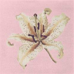 Elizabeth Bradley, Blooms, ORIENTAL LILY - 16x16 pollici Elizabeth Bradley - 2