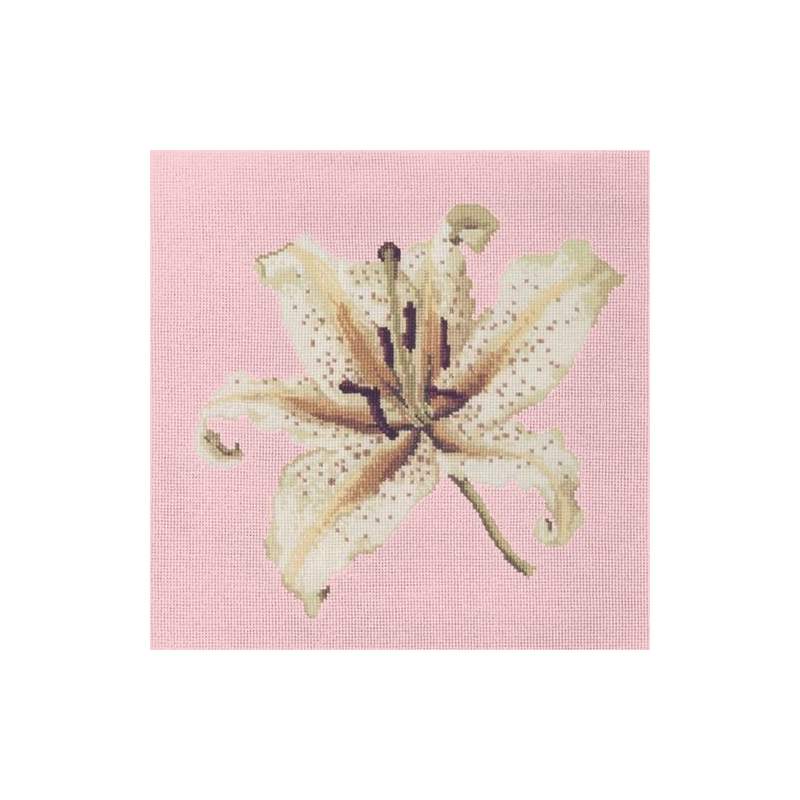 Elizabeth Bradley, Blooms, ORIENTAL LILY - 16x16 pollici Elizabeth Bradley - 2 Elizabeth Bradley, Blooms, ORIENTAL LILY - 16x16 pollici Elizabeth Bradley - 2