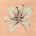 Elizabeth Bradley, Blooms, ORIENTAL LILY - 16x16 pollici Elizabeth Bradley - 3