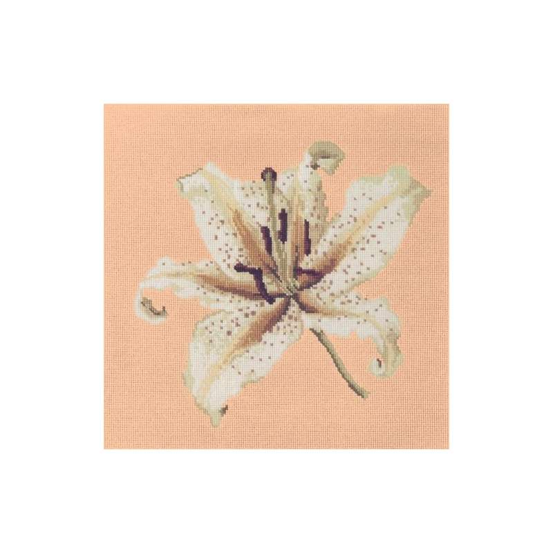 Elizabeth Bradley, Blooms, ORIENTAL LILY - 16x16 pollici Elizabeth Bradley - 3
