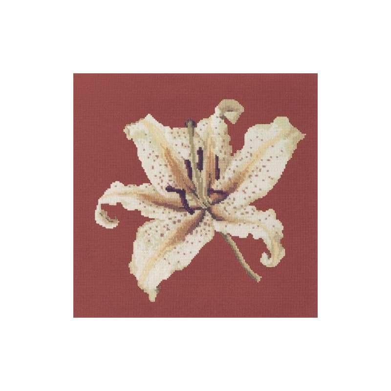 Elizabeth Bradley, Blooms, ORIENTAL LILY - 16x16 pollici Elizabeth Bradley - 5