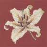 Elizabeth Bradley, Blooms, ORIENTAL LILY - 16x16 pollici Elizabeth Bradley - 5