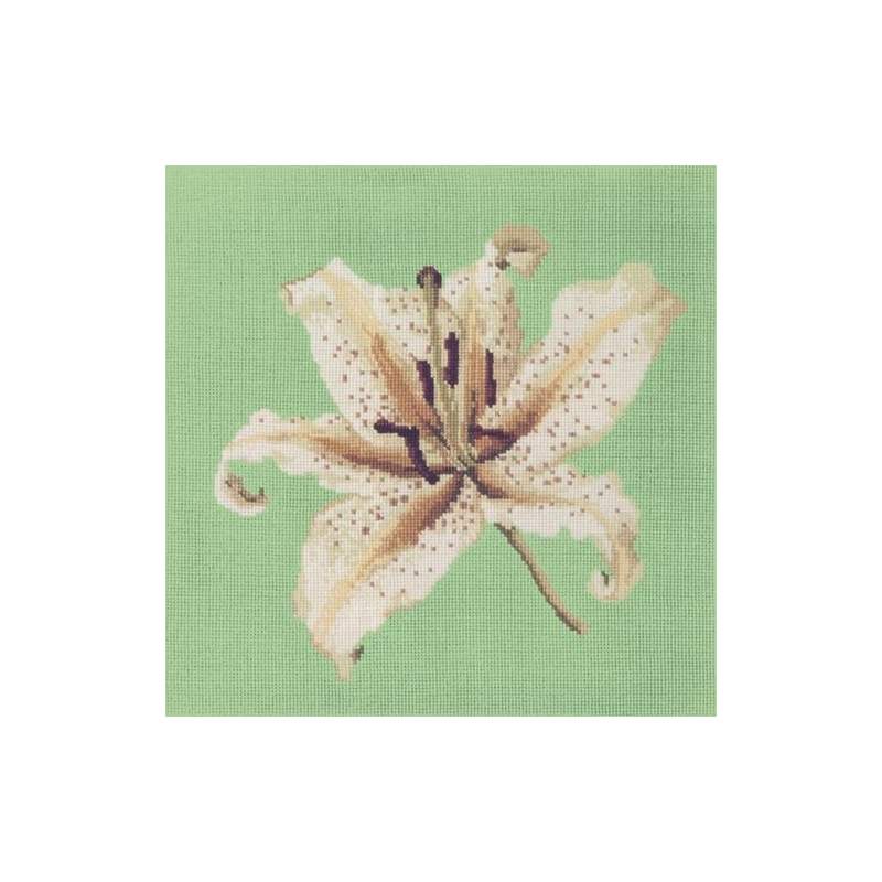 Elizabeth Bradley, Blooms, ORIENTAL LILY - 16x16 pollici Elizabeth Bradley - 7