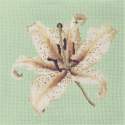 Elizabeth Bradley, Blooms, ORIENTAL LILY - 16x16 pollici Elizabeth Bradley - 9