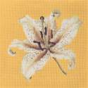 Elizabeth Bradley, Blooms, ORIENTAL LILY - 16x16 pollici Elizabeth Bradley - 11