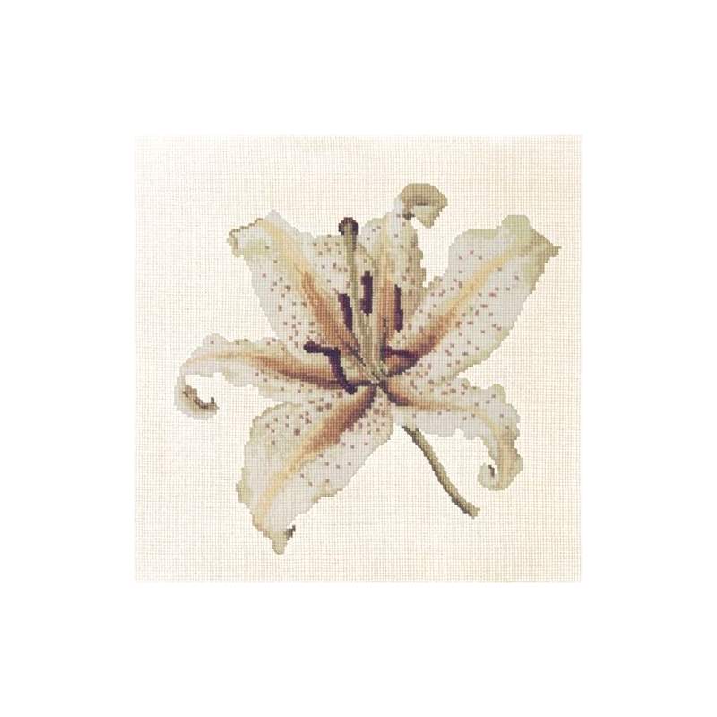 Elizabeth Bradley, Blooms, ORIENTAL LILY - 16x16 pollici Elizabeth Bradley - 12