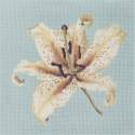 Elizabeth Bradley, Blooms, ORIENTAL LILY - 16x16 pollici Elizabeth Bradley - 14