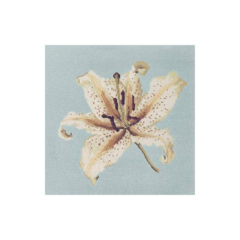 Elizabeth Bradley, Blooms, ORIENTAL LILY - 16x16 pollici Elizabeth Bradley - 14