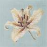 Elizabeth Bradley, Blooms, ORIENTAL LILY - 16x16 pollici Elizabeth Bradley - 14