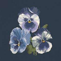 Elizabeth Bradley, Blooms, PANSIES - 16x16 pollici Elizabeth Bradley - 17
