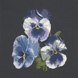 Elizabeth Bradley, Blooms, PANSIES - 16x16 pollici Elizabeth Bradley - 19