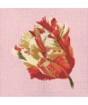 Elizabeth Bradley, Blooms, PARROT TULIP - 16x16 pollici Elizabeth Bradley - 2