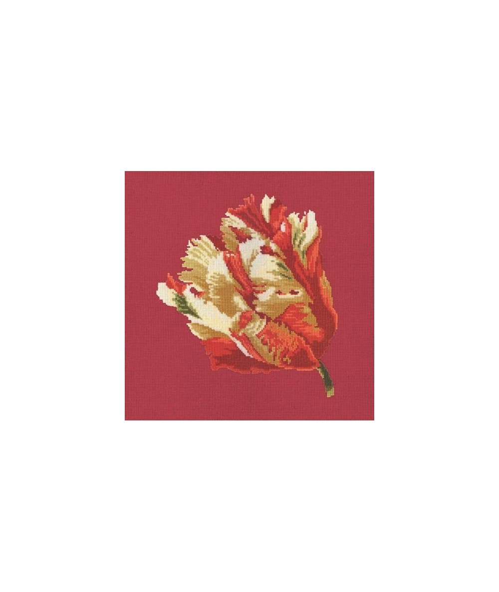 Elizabeth Bradley, Blooms, PARROT TULIP - 16x16 pollici Elizabeth Bradley - 4
