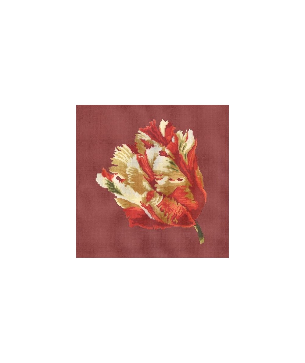 Elizabeth Bradley, Blooms, PARROT TULIP - 16x16 pollici Elizabeth Bradley - 5