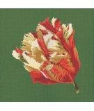 Elizabeth Bradley, Blooms, PARROT TULIP - 16x16 pollici Elizabeth Bradley - 6