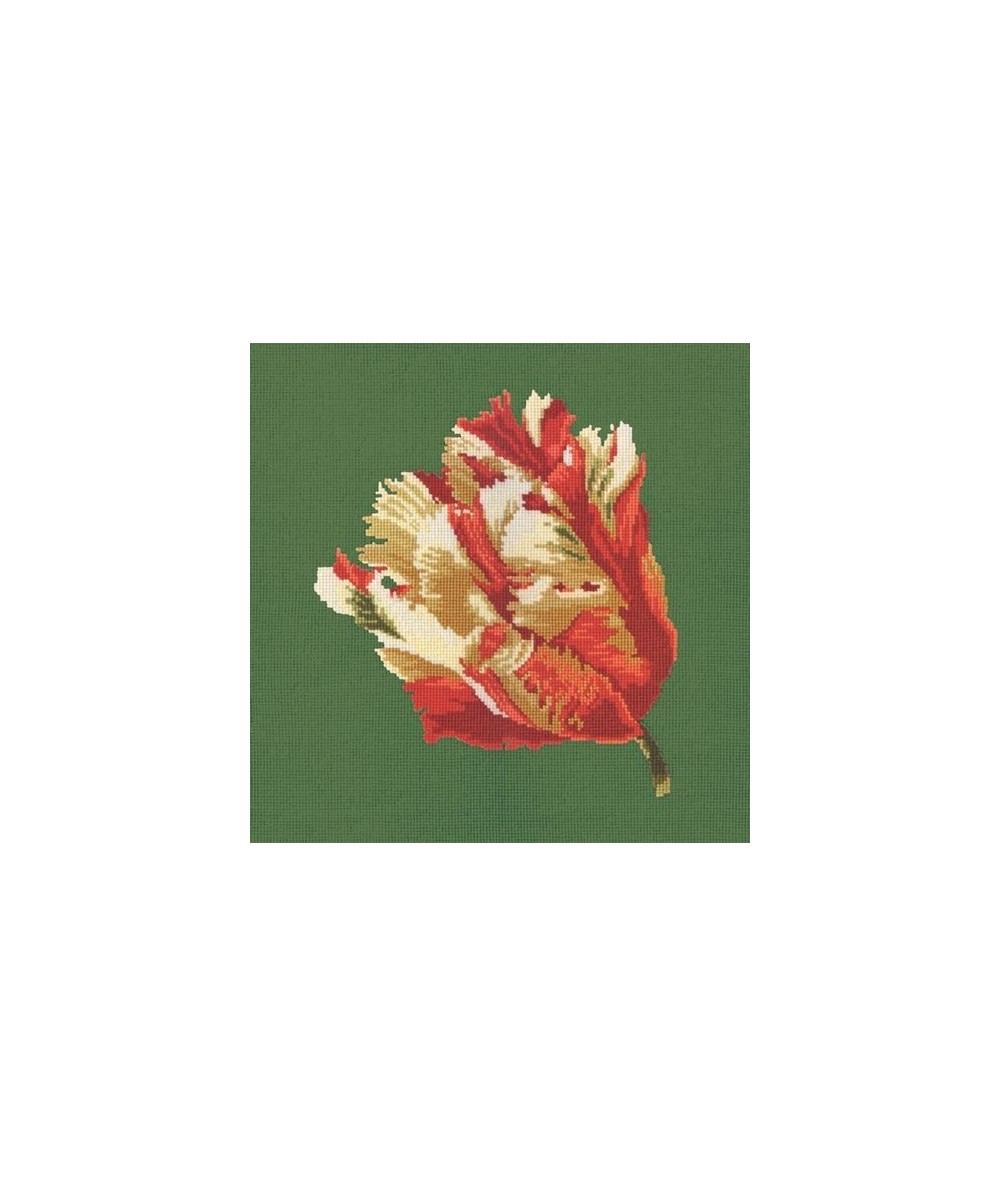 Elizabeth Bradley, Blooms, PARROT TULIP - 16x16 pollici Elizabeth Bradley - 6