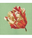 Elizabeth Bradley, Blooms, PARROT TULIP - 16x16 pollici Elizabeth Bradley - 7
