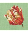 Elizabeth Bradley, Blooms, PARROT TULIP - 16x16 pollici Elizabeth Bradley - 7