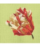 Elizabeth Bradley, Blooms, PARROT TULIP - 16x16 pollici Elizabeth Bradley - 8