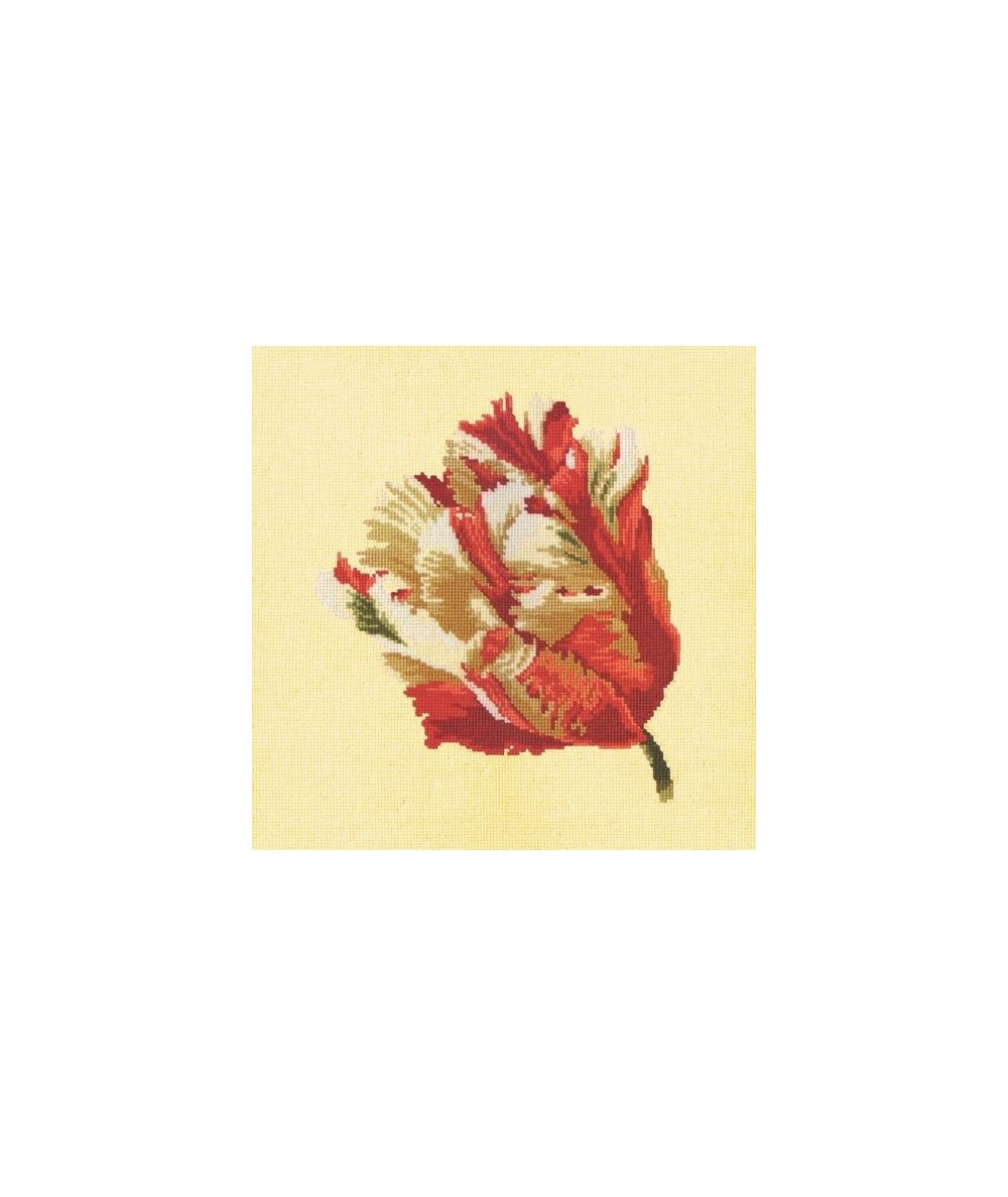 Elizabeth Bradley, Blooms, PARROT TULIP - 16x16 pollici Elizabeth Bradley - 10