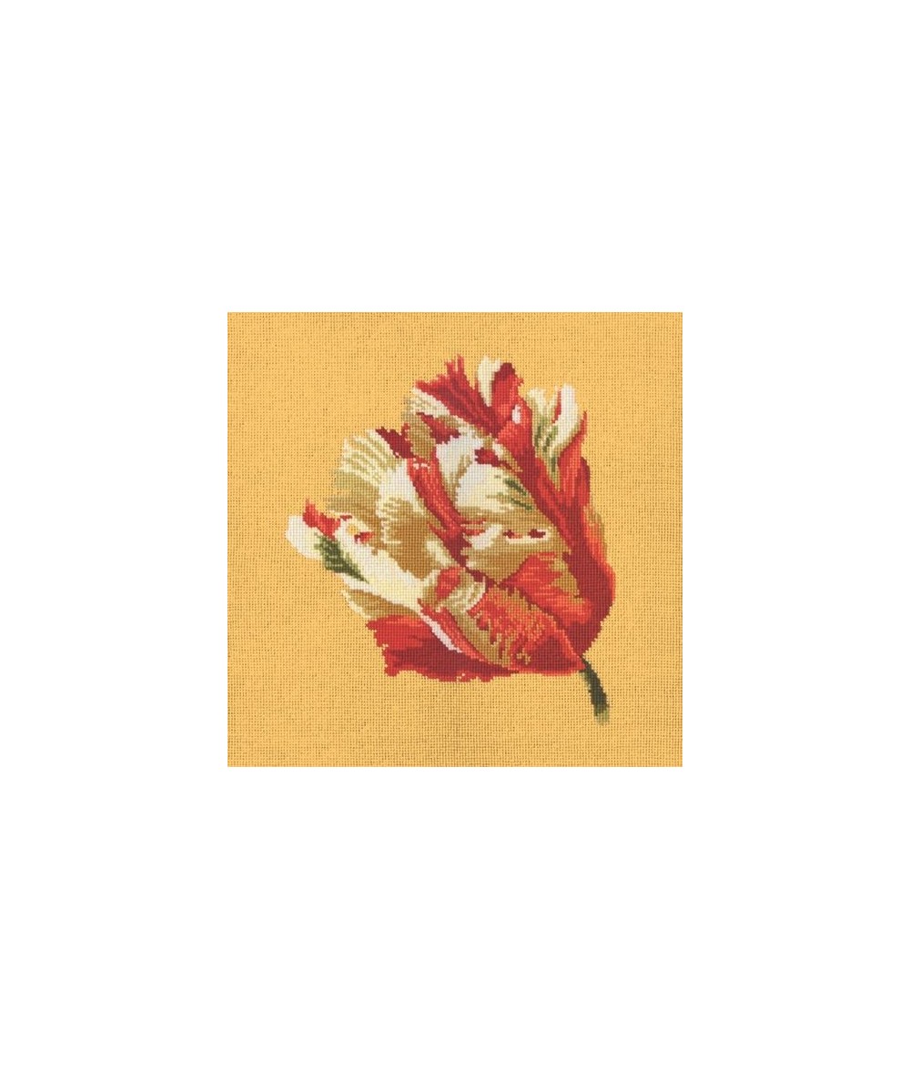 Elizabeth Bradley, Blooms, PARROT TULIP - 16x16 pollici Elizabeth Bradley - 11