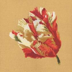 Elizabeth Bradley, Blooms, PARROT TULIP - 16x16 pollici Elizabeth Bradley - 13