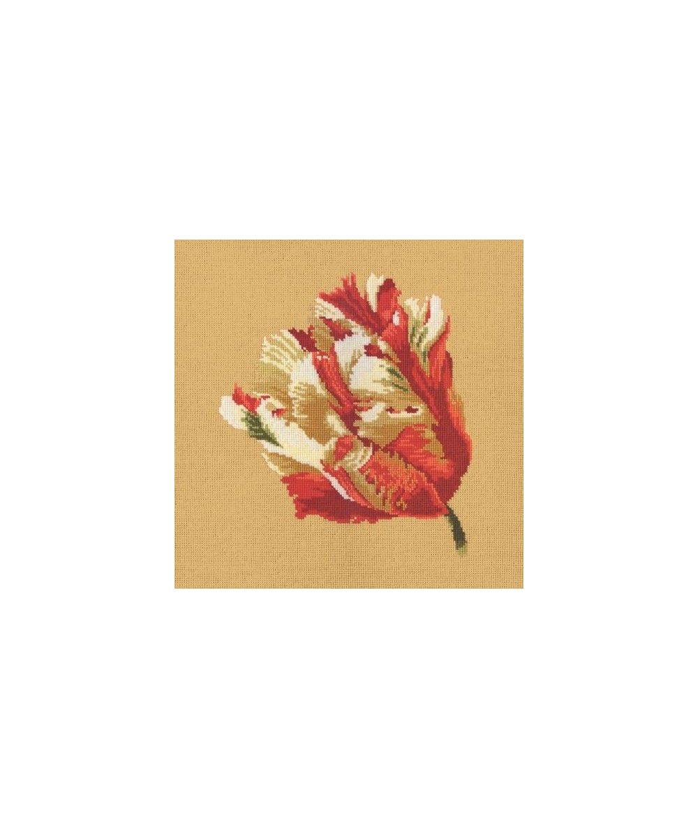 Elizabeth Bradley, Blooms, PARROT TULIP - 16x16 pollici Elizabeth Bradley - 13