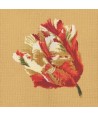 Elizabeth Bradley, Blooms, PARROT TULIP - 16x16 pollici Elizabeth Bradley - 13