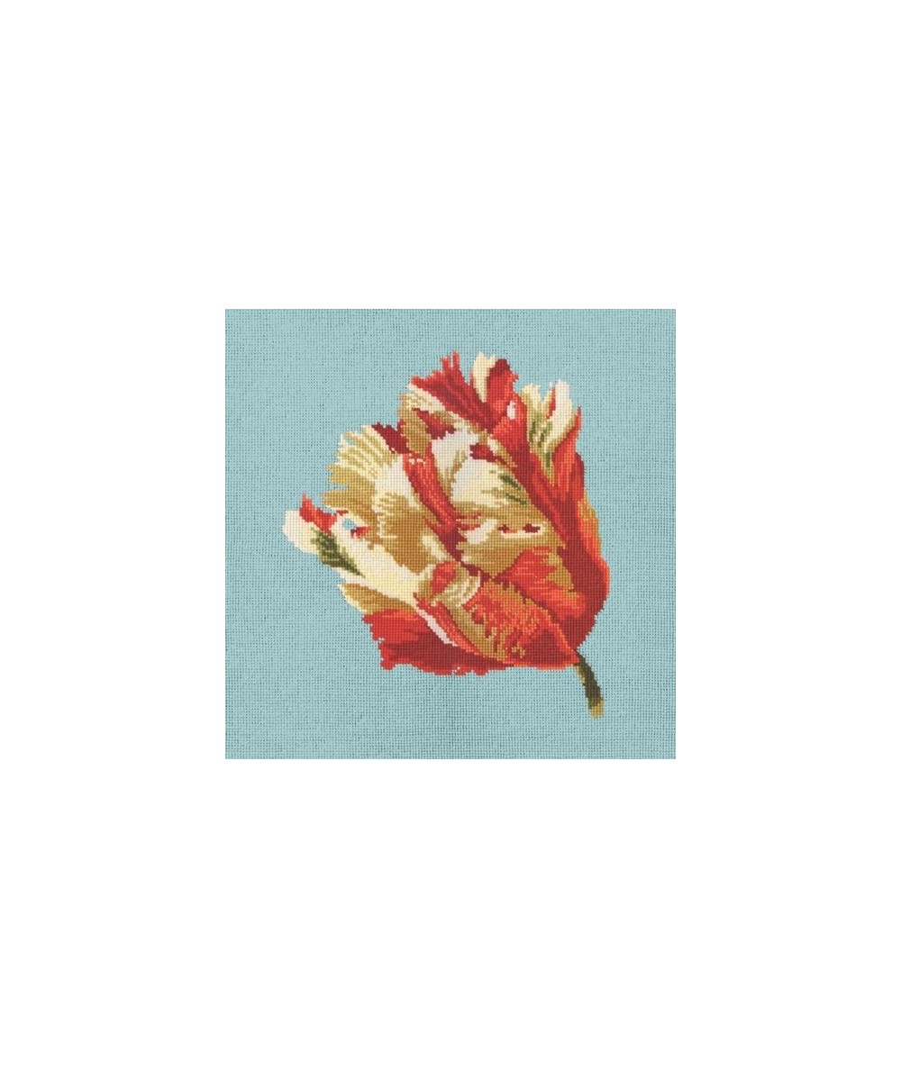 Elizabeth Bradley, Blooms, PARROT TULIP - 16x16 pollici Elizabeth Bradley - 15