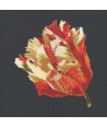 Elizabeth Bradley, Blooms, PARROT TULIP - 16x16 pollici Elizabeth Bradley - 18