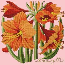 Elizabeth Bradley, Botanical Garden, AMARYLLIS - 16x16 pollici Elizabeth Bradley - 2