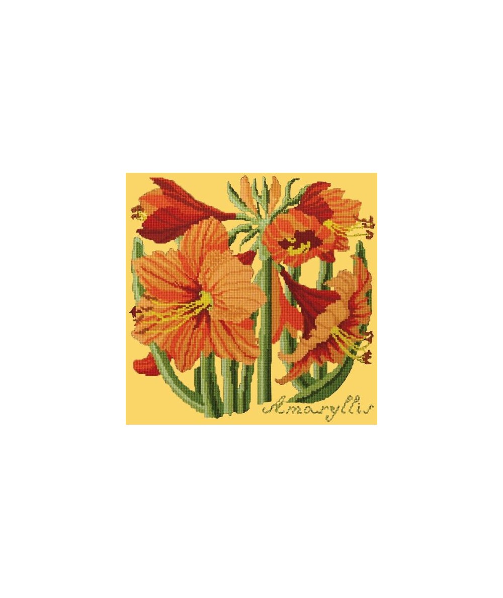 Elizabeth Bradley, Botanical Garden, AMARYLLIS - 16x16 pollici Elizabeth Bradley - 11